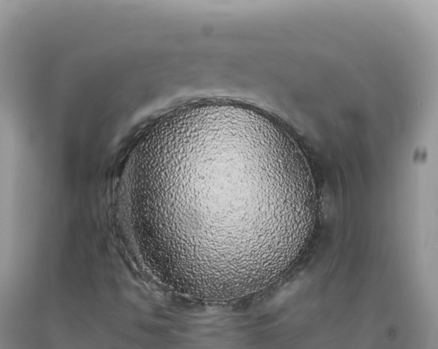 X0000092101494200709191255