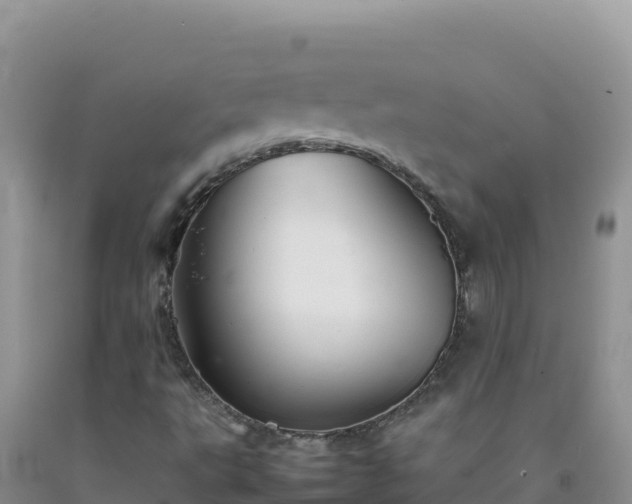 X0000092101495200709191255