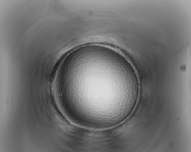 X0000092101497200709191255