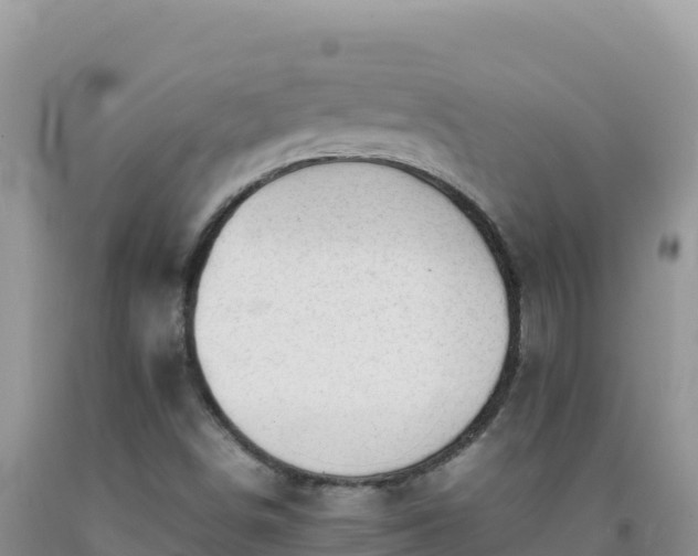 X0000092101498200709191255