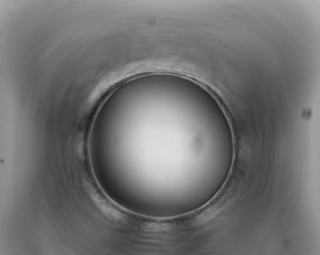 X0000092101499200709191255