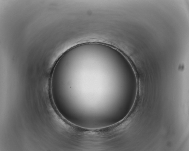 X0000092101500200709191255