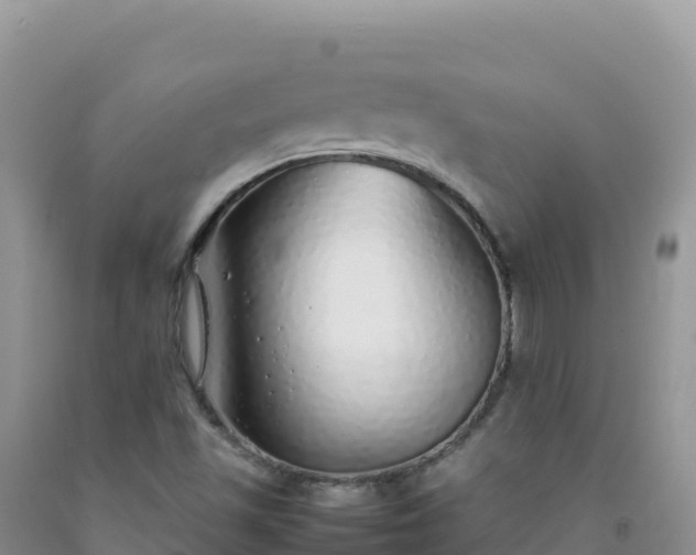 X0000092101501200709191255