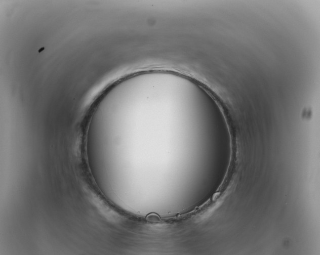 X0000092101502200709191255