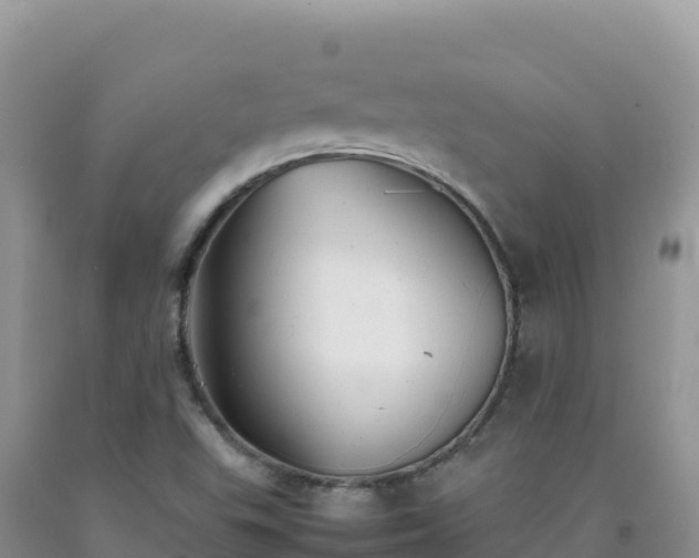 X0000092101503200709191255