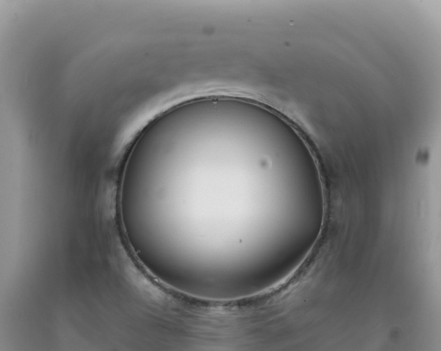 X0000092101504200709191255