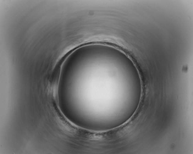 X0000092101505200709191255