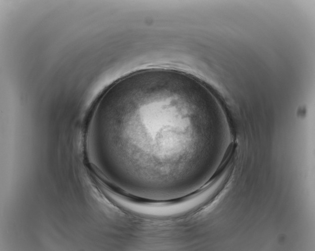 X0000092101506200709191255