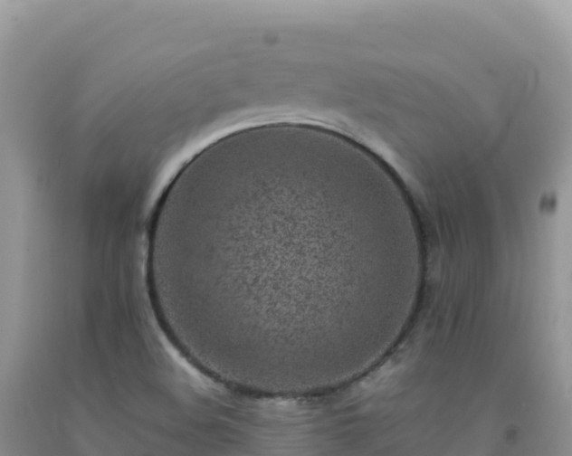 X0000092101508200709191255