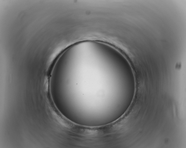 X0000092101509200709191255