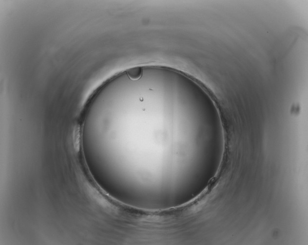 X0000092101510200709191255