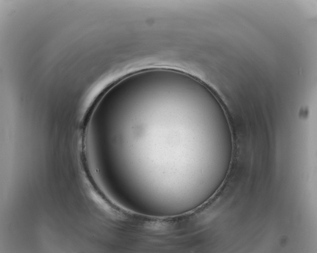 X0000092101511200709191255