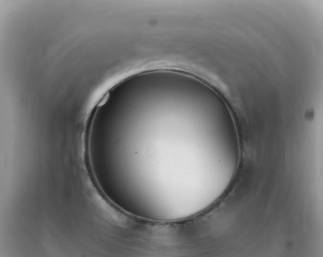 X0000092101512200709191255