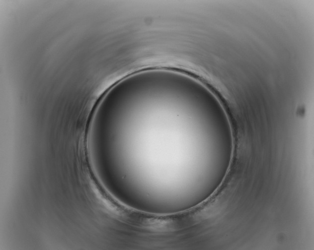 X0000092101513200709191255