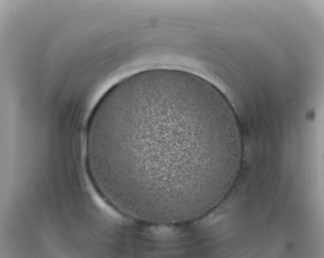 X0000092101515200709191255