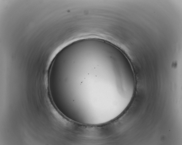 X0000092101516200709191255