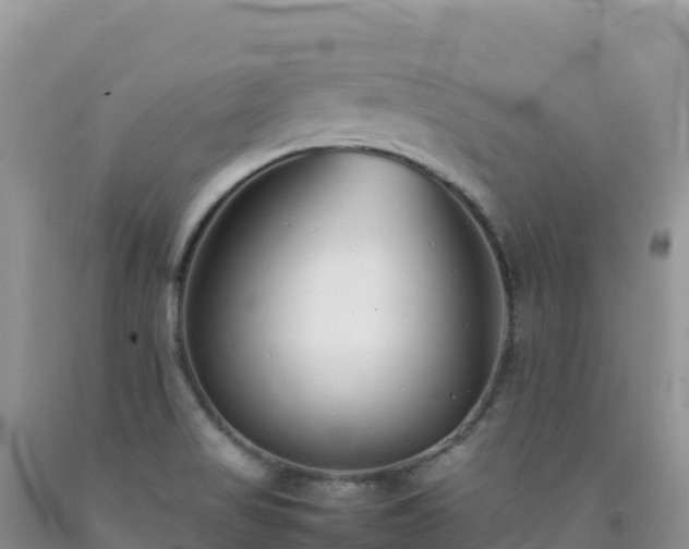 X0000092101517200709191255