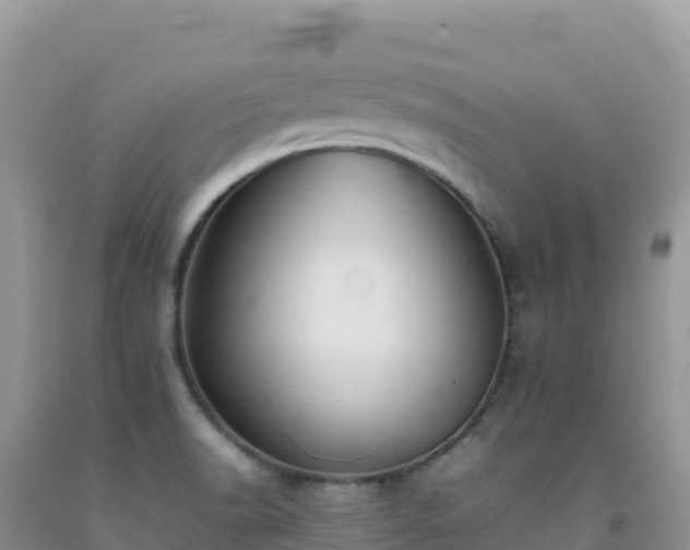 X0000092101518200709191255