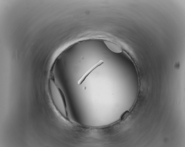 X0000092101520200709191255