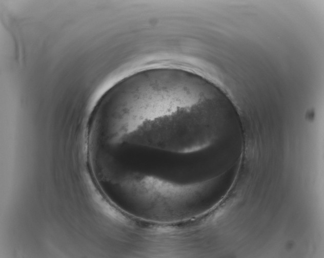 X0000092101522200709191255