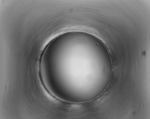 X0000092101523200709191255