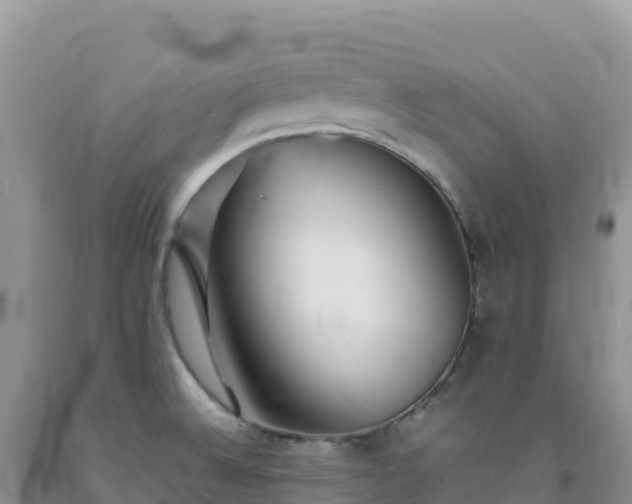 X0000092101524200709191255