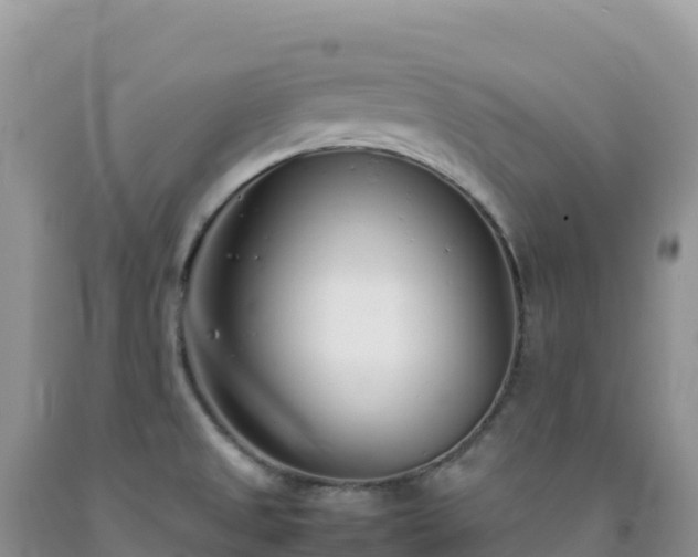 X0000092101525200709191256