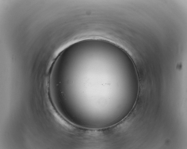 X0000092101526200709191256