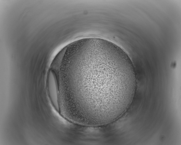 X0000092101527200709191256