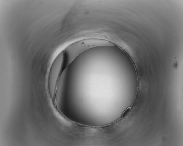 X0000092101528200709191256