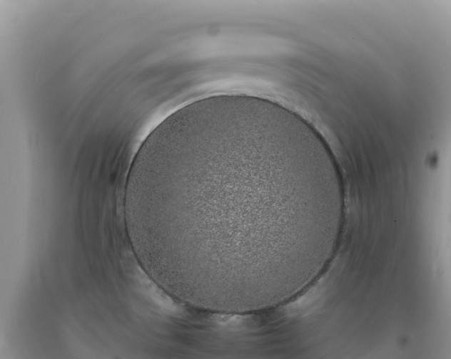 X0000092101529200709191256