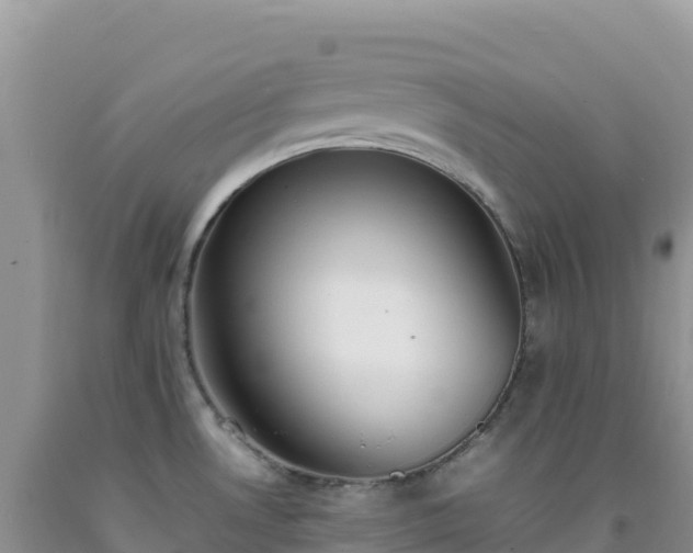 X0000092101530200709191256