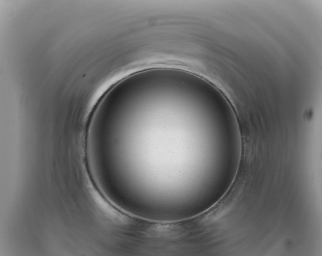 X0000092101531200709191256