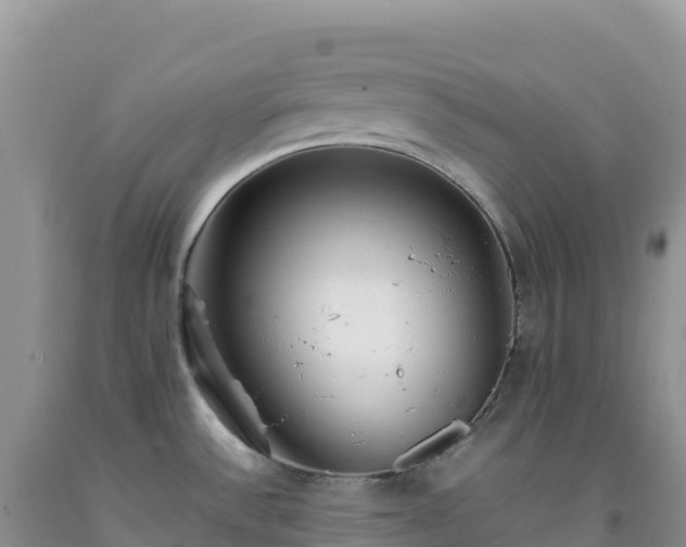 X0000092101532200709191256