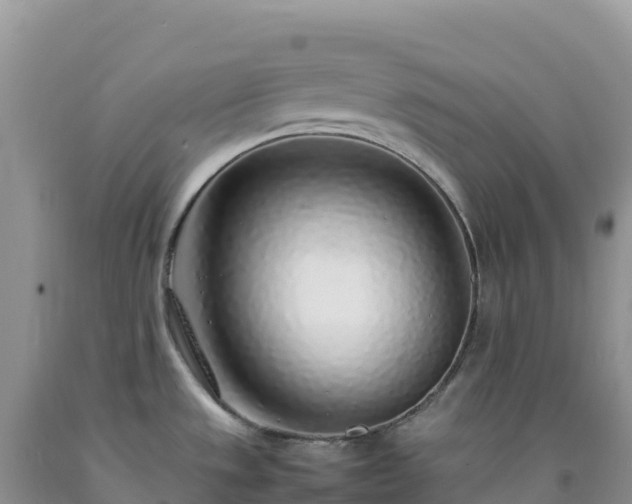 X0000092101533200709191256