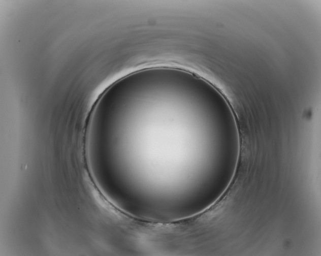 X0000092101534200709191256