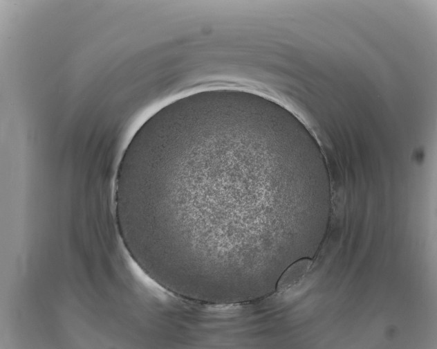 X0000092101535200709191256