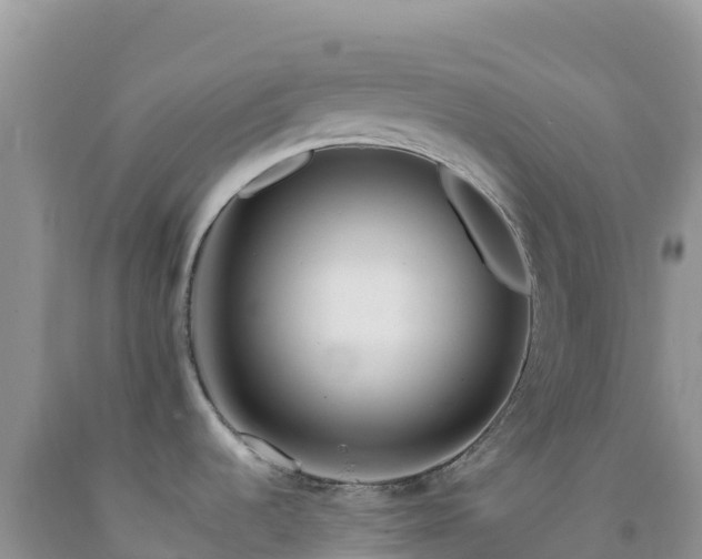 X0000092101536200709191256