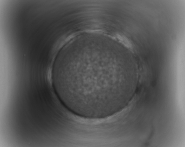 X0000092100002200709262149