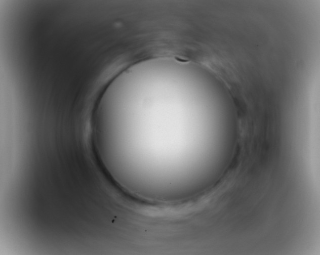 X0000092100005200709262149