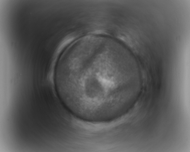 X0000092100006200709262149