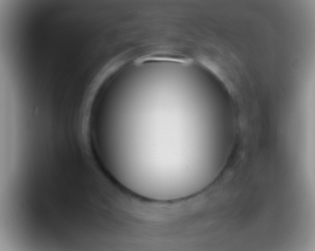 X0000092100007200709262149