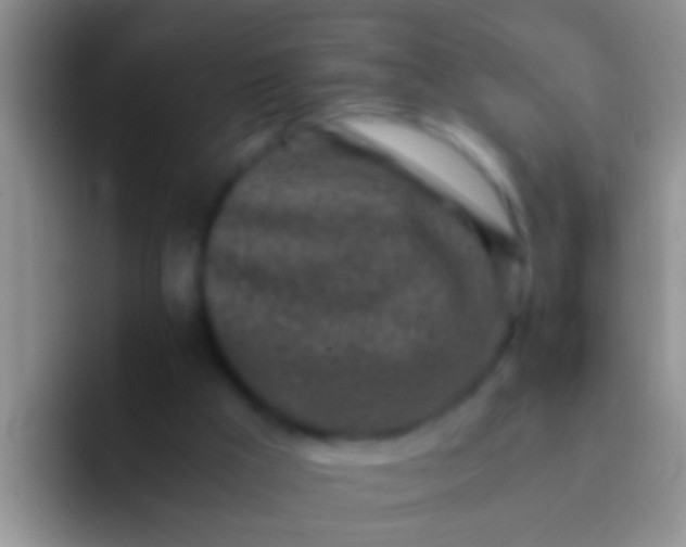 X0000092100009200709262149