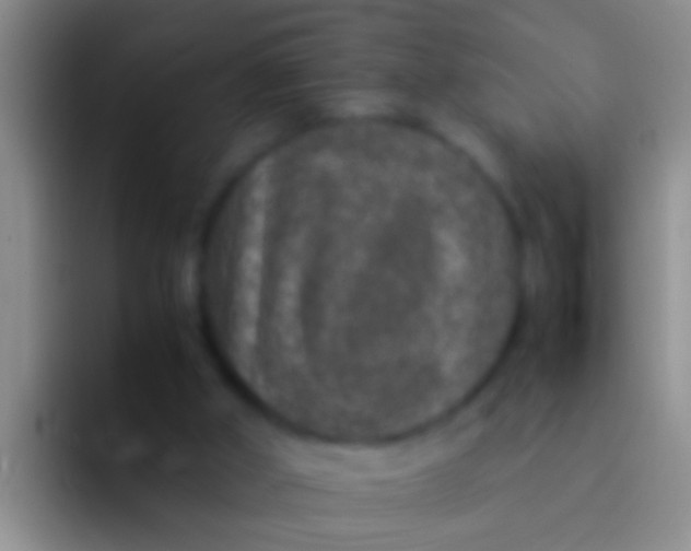 X0000092100010200709262149