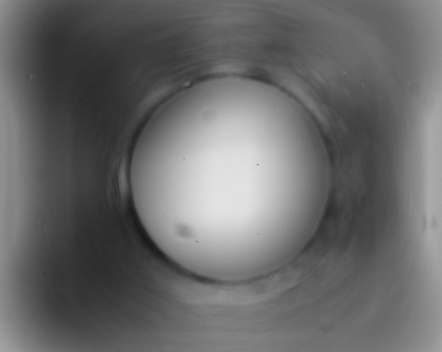 X0000092100011200709262149