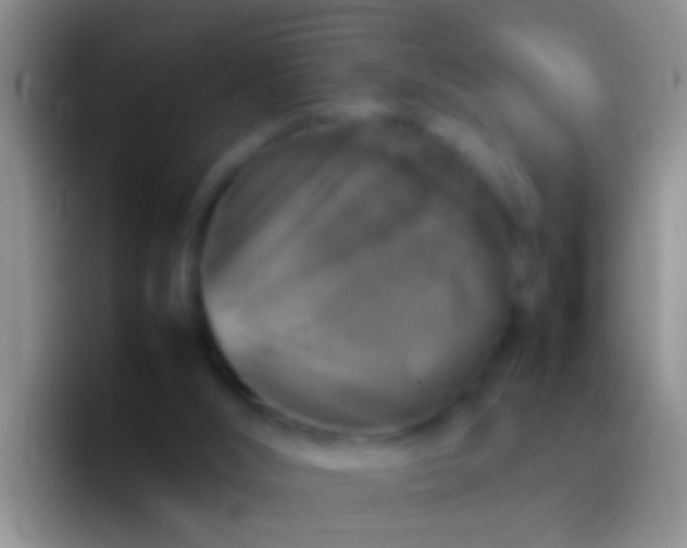 X0000092100012200709262149