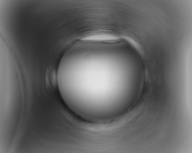 X0000092100013200709262149