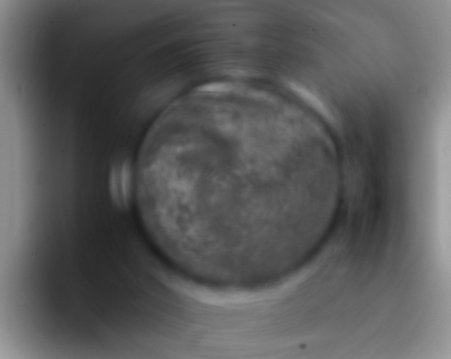 X0000092100014200709262149