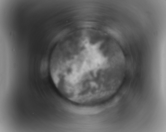 X0000092100016200709262149