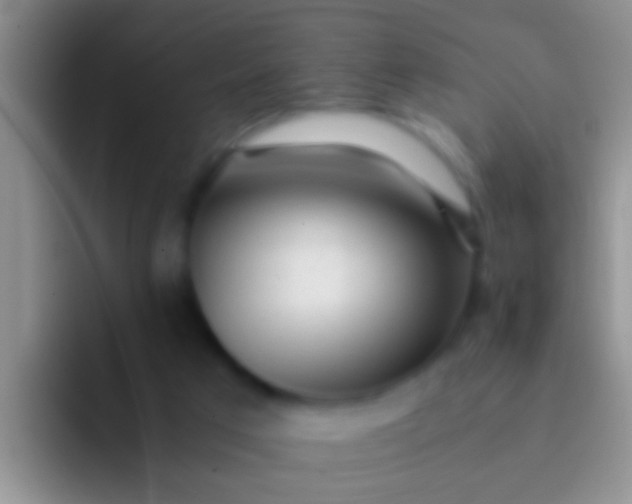 X0000092100017200709262149